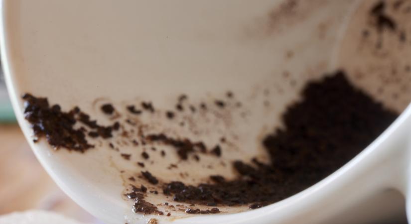 Két kanál kávézacc a WC-be: ez az új háztartási trükk