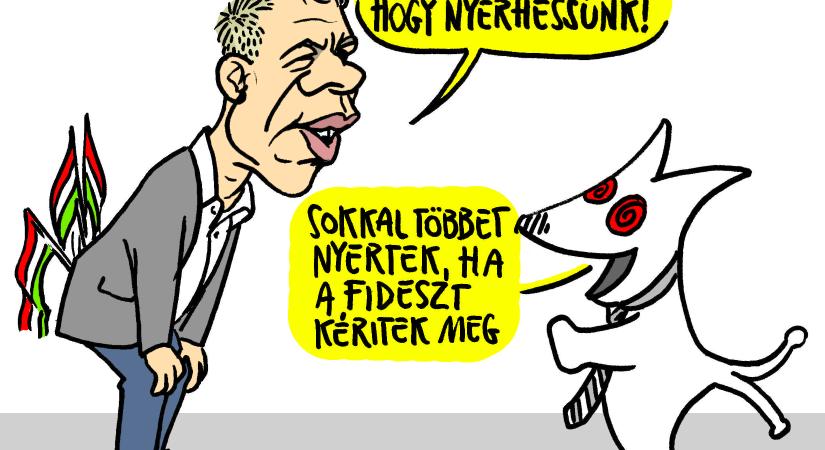 Egyszer volt Budán kutyavásár