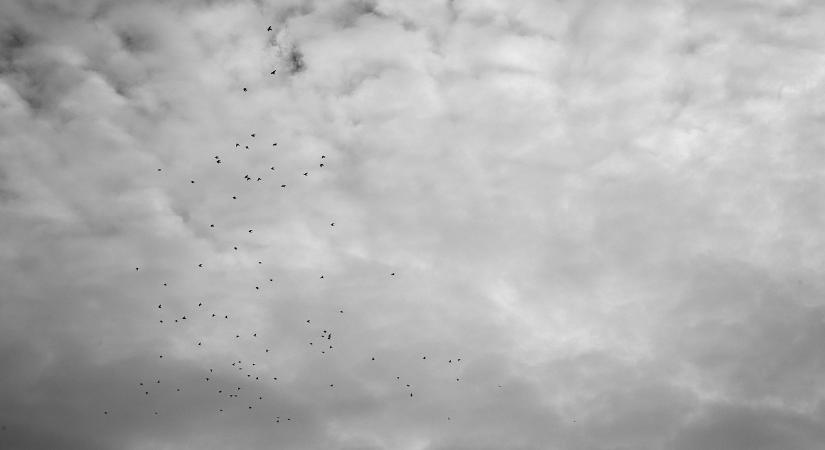 Már a küszöbön a rossz idő