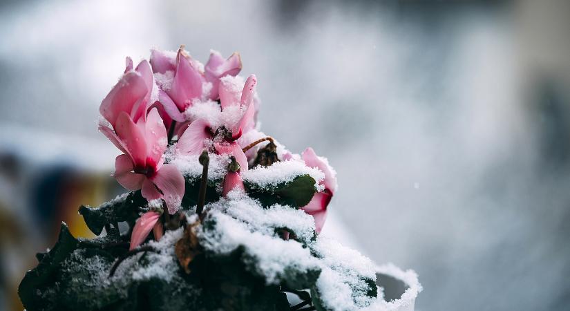 Lesz itt minden, mint a búcsúban - időjárási kavalkád vár ránk a héten