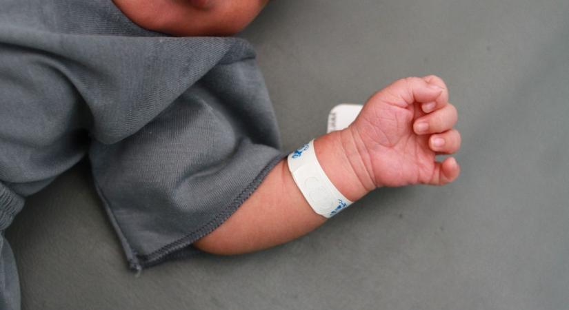 Sok kicsi élet indult el péntektől vasárnapig a Kisalföldön