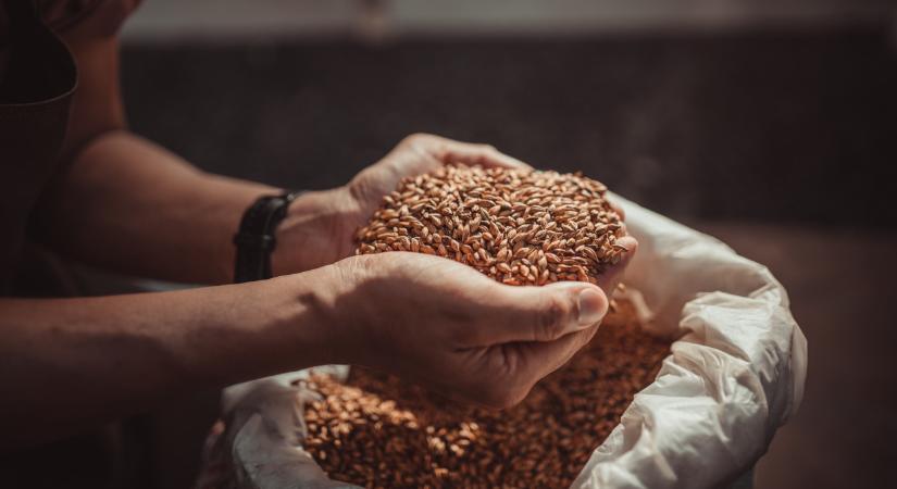 Olyan dolog jöhet a gabonapiacon, amire 10 éve nem volt példa