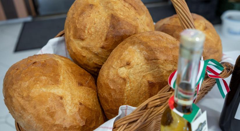 XV. Szent István-napi Kenyérverseny