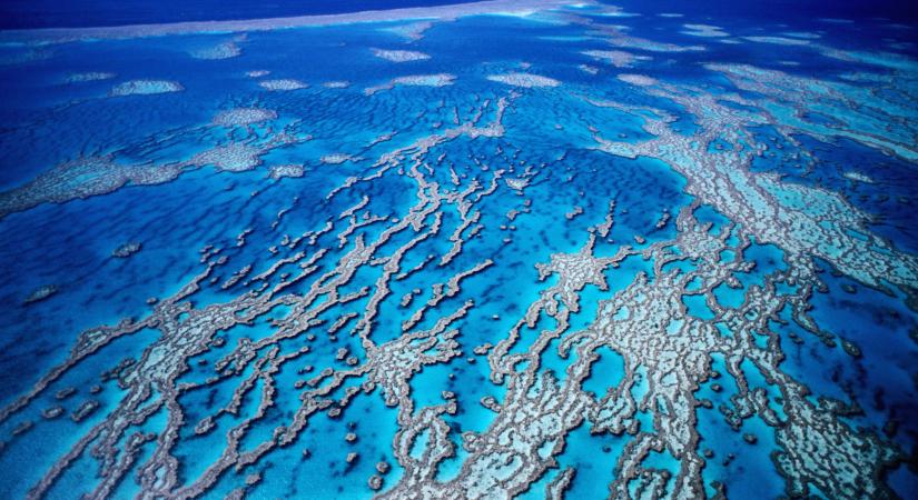 Döbbenetes pusztítást láttunk januárban és még jöhetnek hidegbetörések