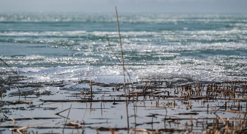 Szörny bukkant fel a Balatonban, lencsevégre kapták a magyar Nessie-t (galéria)