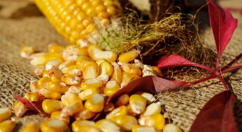 Egyre rosszabb a helyzet: keresik a megoldást az amerikaiak