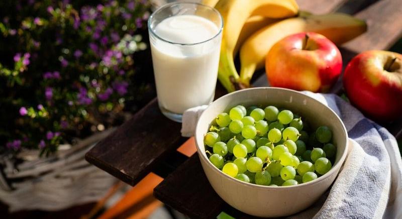 Mit ehetünk a paleolit diéta során?