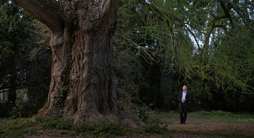 Ezek a filmek nyerték a 45. Magyar Filmszemle díjait