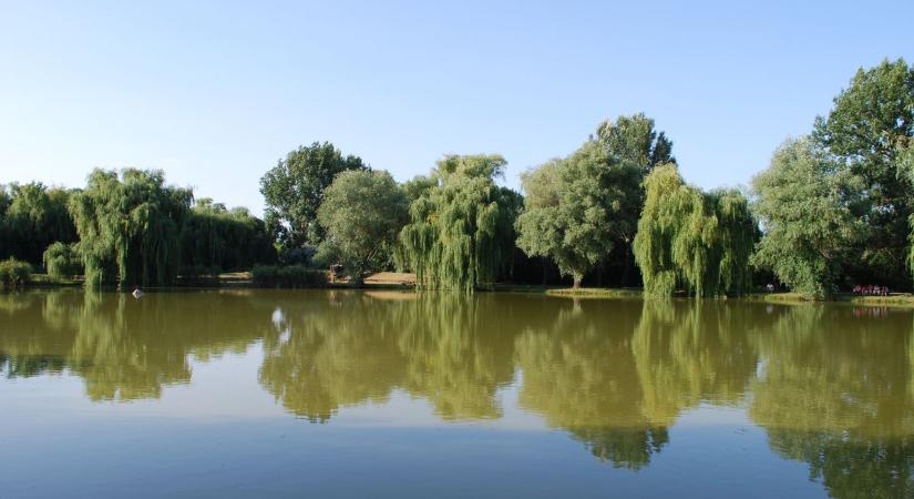Kinyíltak a zsilipek: különleges beavatkozás zajlik a Tiszánál