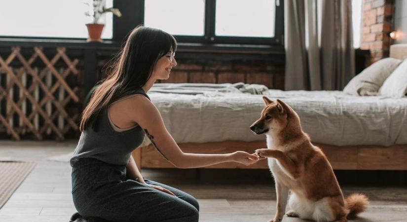 Szobakennel: büntetés vagy biztonságos menedék?