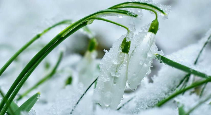 Kéthetes előrejelzés: fagyos napok és hirtelen felmelegedések várnak ránk