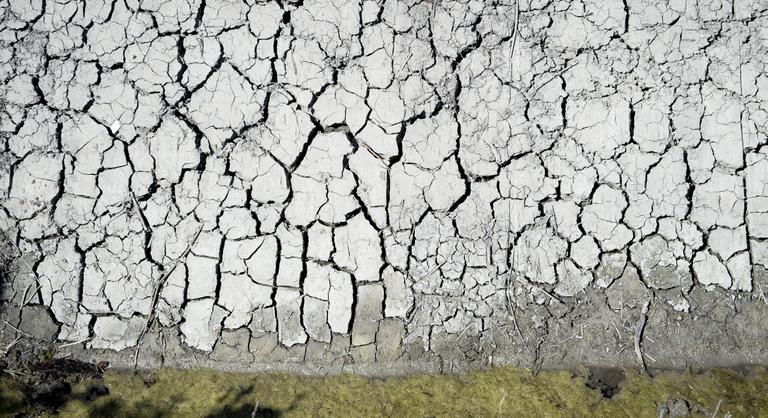 A pusztulás szélén Magyarország egyik területe, azonnal cselekedni kell