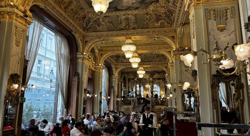 Kalória és kapitalizmus – minden idők somlóija és a Karinthy–Tiborcz-egyenlet megfejtése a New York Kávéházban