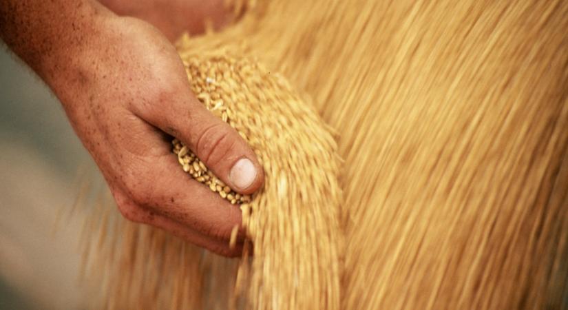 Sikkasztás gyanújával hallgatták ki a Bászna képviselőjét