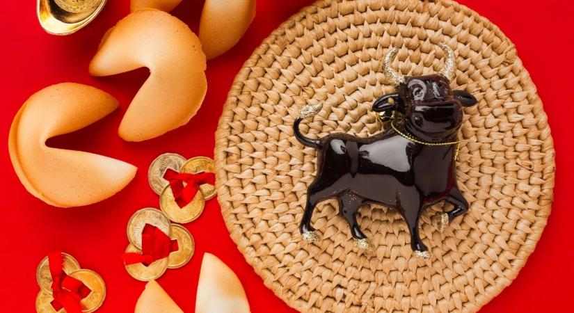 Mit hoz a Tűz Ló éve a Bivaly jegy szülötteinek 2026-ban?