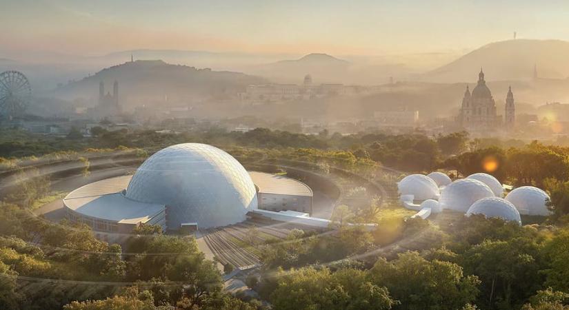 Talányos nagy buborékok jelentek meg Rákosrendezőn