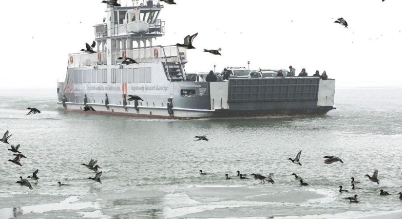 Balaton: nem a vízszint, hanem a hőmérséklet és a sótartalom a valódi kihívás