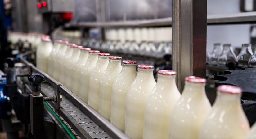 Egyre nagyobb a baj, túl olcsó a tej a magyar boltokban
