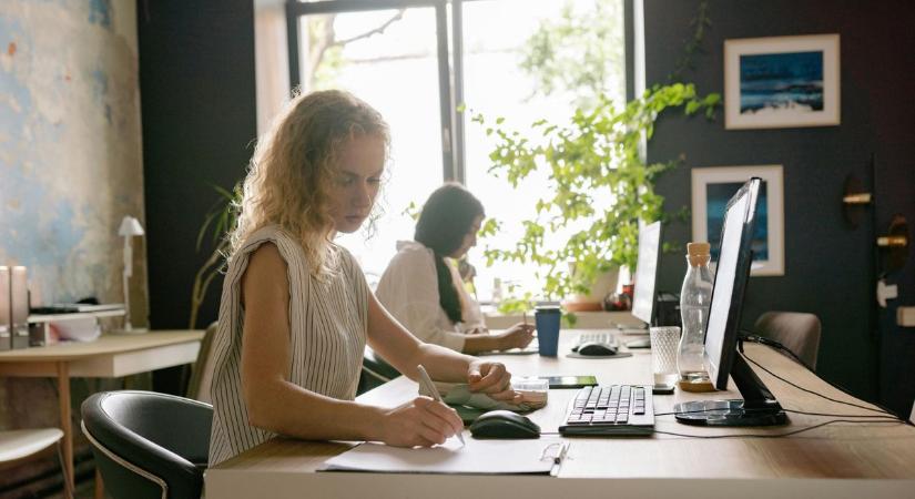 Kétmilliós honlapfejlesztési támogatásra pályázhatnak a vállalkozások: elindult a program II. üteme