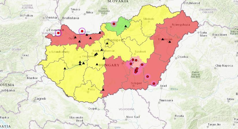 Interaktív térképen követhetők az állatjárványok legfrissebb adatai a Nébih portálján