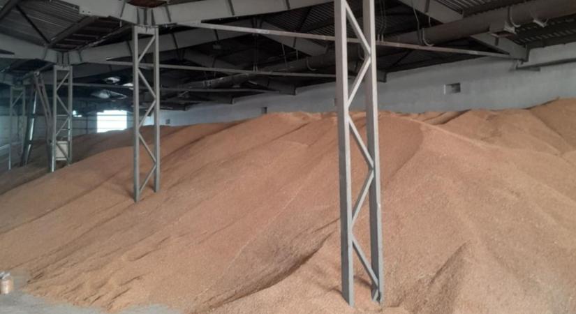 Független vizsgálatok a terménybiztonság szolgálatában