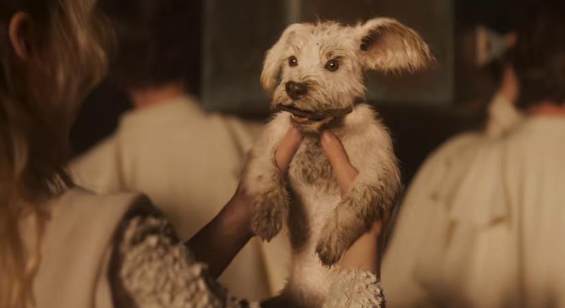 Új előzetest kapott a Supergirl!