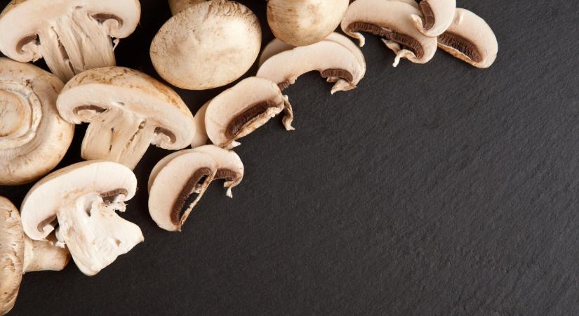 Remélhetőleg nem vettél ilyen konzerv gombákat, nem szerepeltek túl jól a teszteken