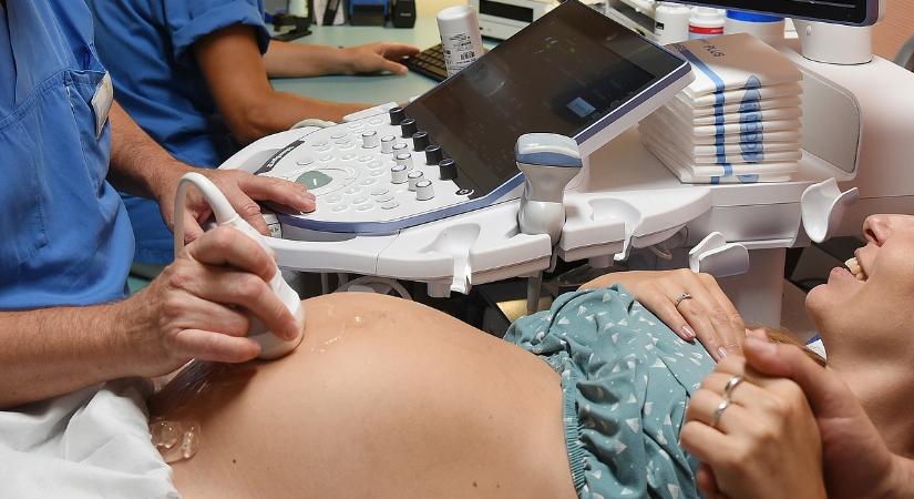 Fordulat a lombikprogramban: rekordszámú baba született