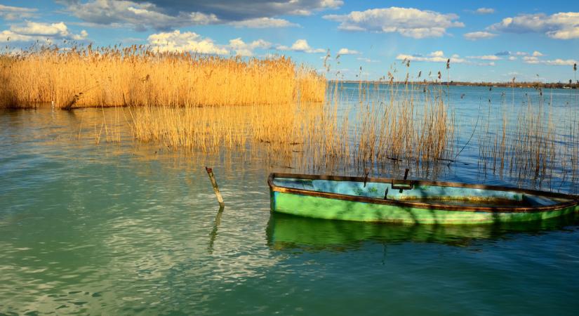 Rég nem látott látvány a Balatonon: ezen a népszerű strandon kezdődhet a nádaratás