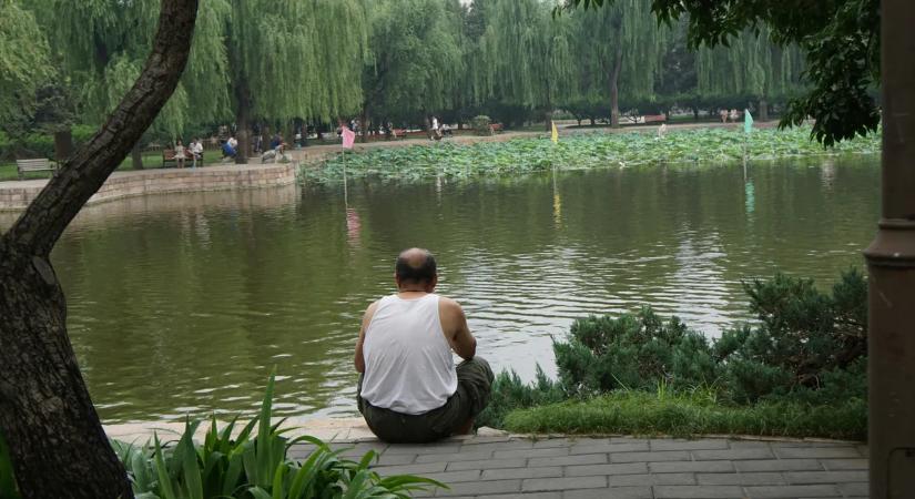 Meghökkentő kutatási eredmény: ősi csodaszer segíthet megállítani a hajhullást