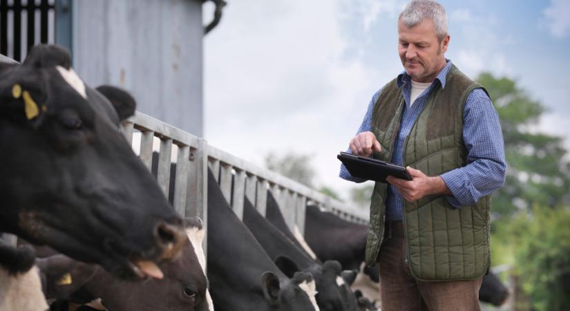 Állatjárvány-helyzet Magyarországon: itt mindenki láthatja az igazságot