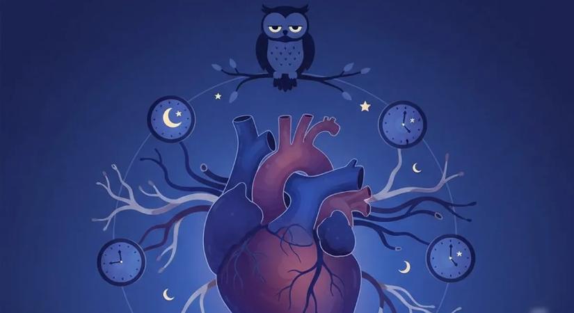 Éjszakai bagoly? Jelentős veszély fenyegeti a szívét