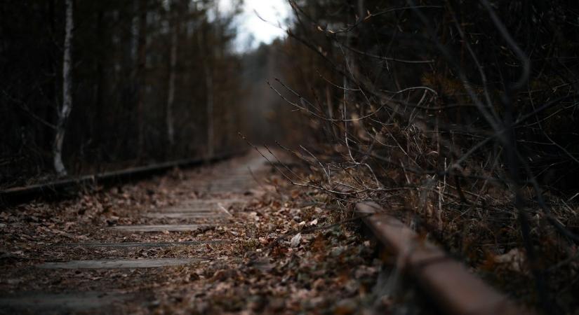 Buszokkal élesztené újjá a szunnyadó vasútvonalakat egy francia vállalkozás