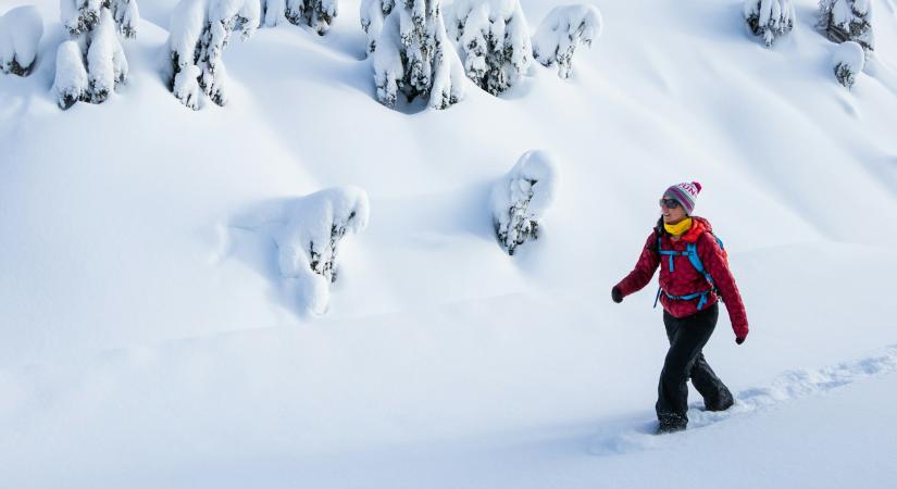 Nem ittam eleget a téli hidegben, az egészségem látta kárát…