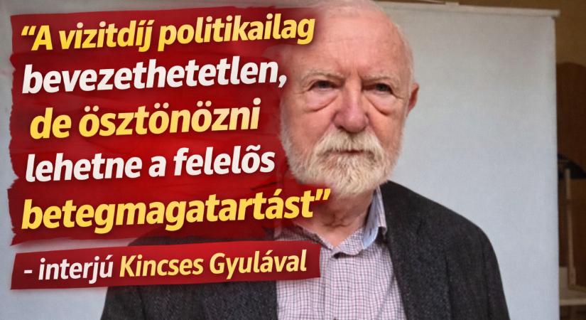 “A vizitdíj politikailag bevezethetetlen, de ösztönözni lehetne a felelős betegmagatartást” – interjú Kincses Gyulával