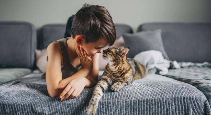 Hat dolog, amiben segítik a háziállatok a gyerekek fejlődését