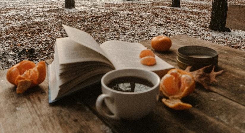 Ötödször is Holtszezon: kortárs irodalom Veszprémben