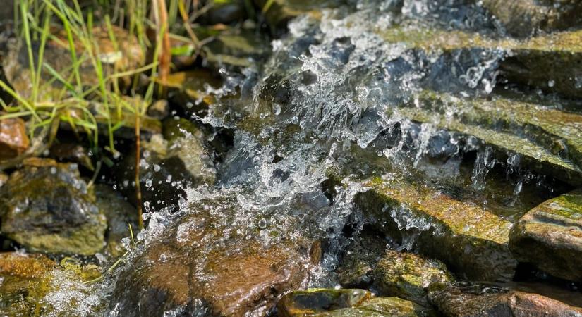 Eltűnt egy csodás hazai természeti kincs, a Balaton jövője múlhat ezeken