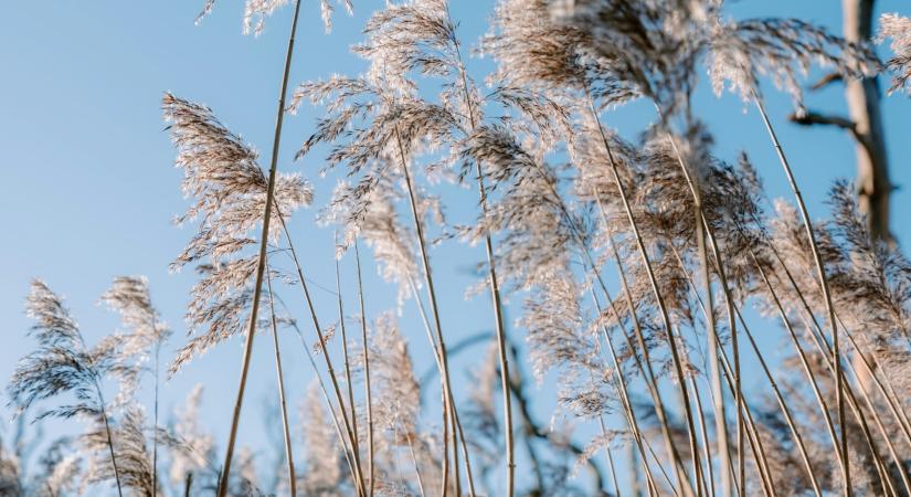 Időjárás 2026. február 10.: Meleg, de szeles és felhős napra készülhetünk