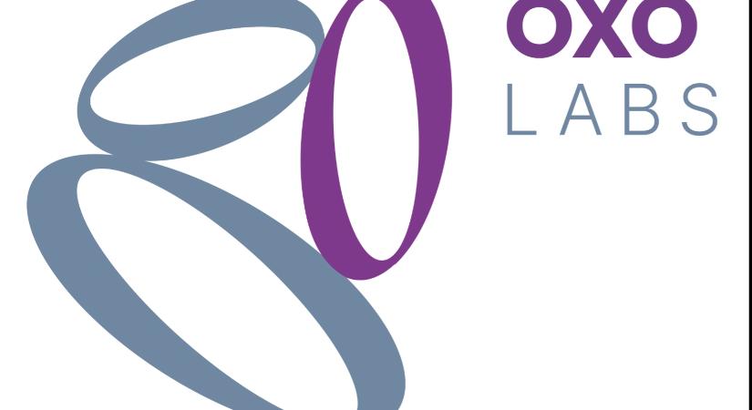 Társbefektetésekkel és új portfóliócégekkel zárta a 2025-ös évet az OXO Labs Zrt.