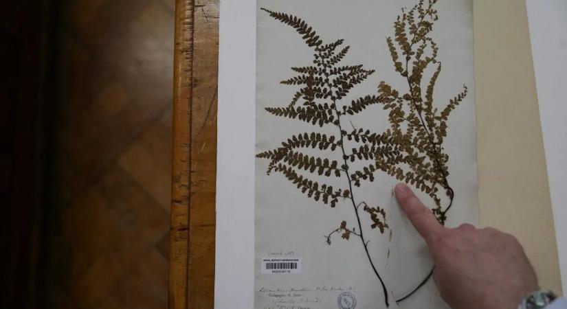 Lézerrel lődözték Darwin hagyatékát - elment az eszük a tudósoknak?