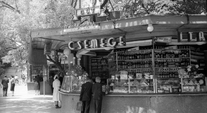 Ruhaszanatórium, hó- és sárcipők, úri- és hölgyfodrász – Korabeli hirdetések a Balaton vidékéről