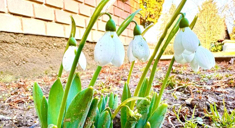 Időjárás: a hullámvasút semmi ehhez képest