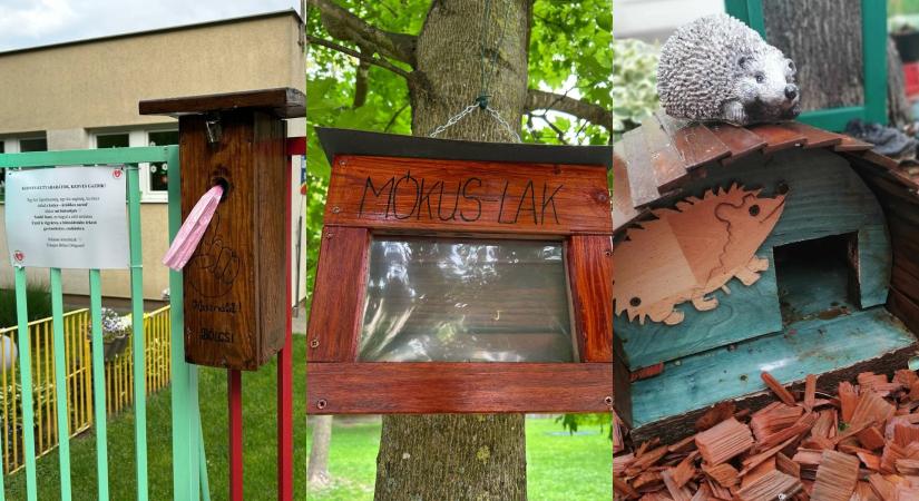 Példaértékű bölcsődei program Zalaegerszegen: állatjólétre és tudatosságra tanítják a kicsiket