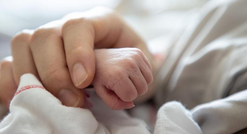 Kiskunhalasi anyakönyvi hírek