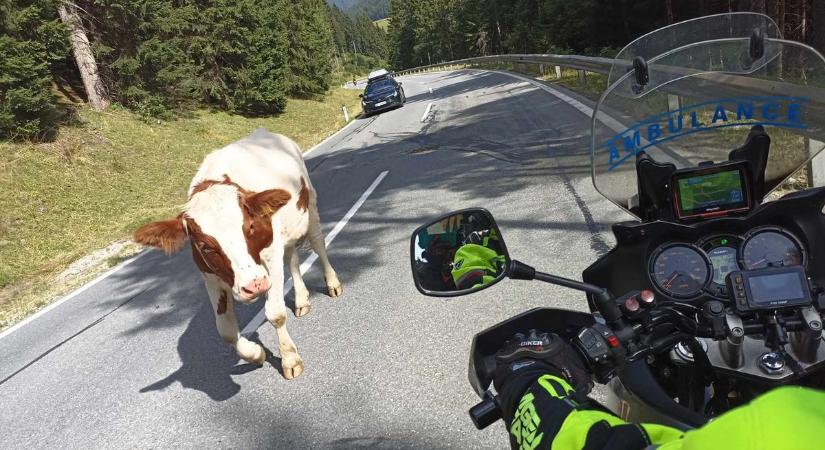 Bárki és bármi szembejöhet, közlekedj kulturáltan!