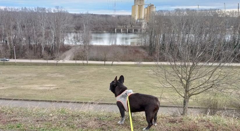 Ez történt 24 óra alatt Dunán