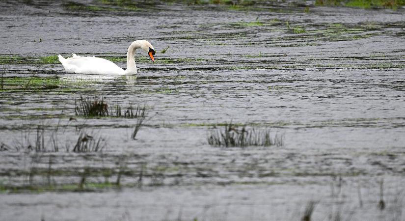 Ma sem tűnik majd fel, hogy hosszabbodnak a nappalok