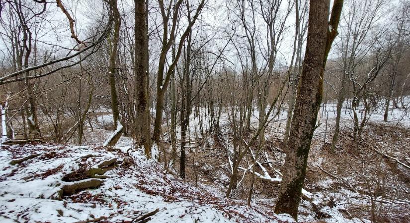 Változékony, az átlagosnál melegebb idő várható a héten is