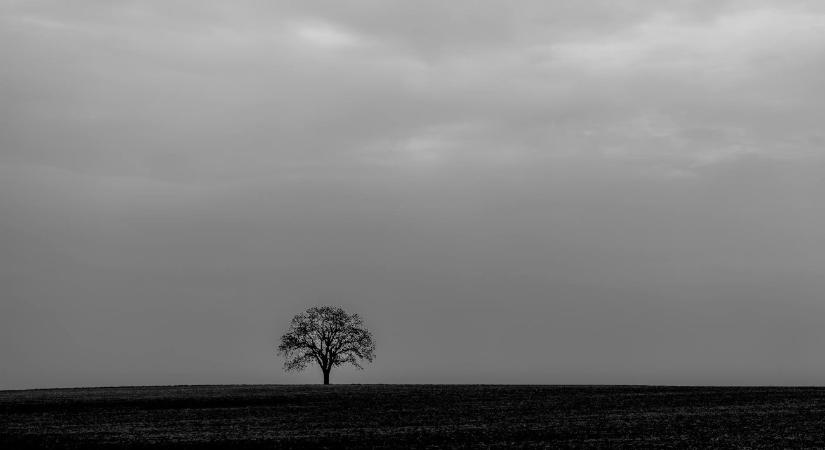 Csak az éberség akadályozta meg, hogy lenyúlják a földterületet